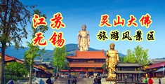 肏屄片在线江苏无锡灵山大佛旅游风景区